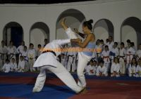 karate (3) (Αντιγραφή)